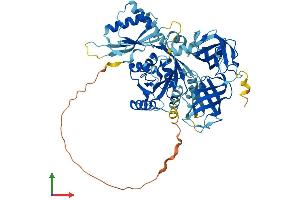 AlphaFold protein structure predicition of Mouse Recombinant Gtpbp2 Protein, UniprotID Q3UJK4