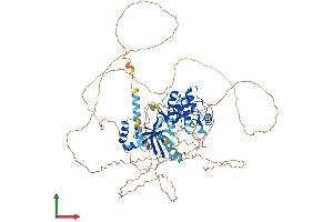 AlphaFold protein structure predicition of Mouse Recombinant Snrk Protein, UniprotID Q8VDU5