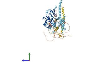AlphaFold protein structure predicition of Human Recombinant KIF3C Protein, UniprotID O14782