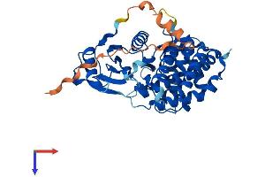 AlphaFold protein structure predicition of Mouse Recombinant Etnk2 Protein, UniprotID A7MCT6