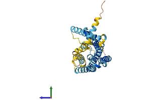 AlphaFold protein structure predicition of Human Recombinant OR10AD1 Protein, UniprotID Q8NGE0