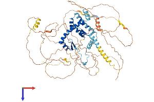 AlphaFold protein structure predicition of Human Recombinant AKAP8L Protein, UniprotID Q9ULX6