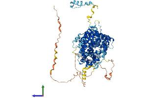 AlphaFold protein structure predicition of Human Recombinant STRIP1 Protein, UniprotID Q5VSL9