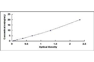 Typical standard curve (GLUL Kit ELISA)