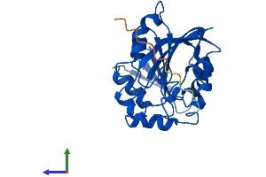 AlphaFold protein structure predicition of Human Recombinant TPMT Protein, UniprotID P51580
