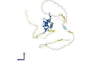 AlphaFold protein structure predicition of Human Recombinant FOXL1 Protein, UniprotID Q12952
