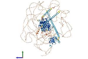 AlphaFold protein structure predicition of Mouse Recombinant Camsap1 Protein, UniprotID A2AHC3