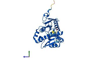 AlphaFold protein structure predicition of Mouse Recombinant Mgll Protein, UniprotID O35678
