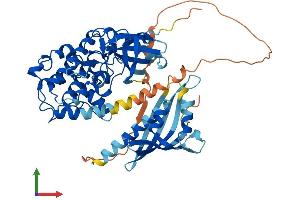AlphaFold protein structure predicition of Mouse Recombinant Camk2g Protein, UniprotID Q923T9