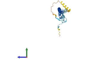 AlphaFold protein structure predicition of Human Recombinant ZC4H2 Protein, UniprotID Q9NQZ6