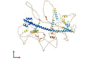 AlphaFold protein structure predicition of Mouse Recombinant Nfe2l1 Protein, UniprotID Q61985