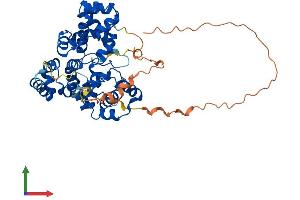 AlphaFold protein structure predicition of Human Recombinant TBC1D10C Protein, UniprotID Q8IV04