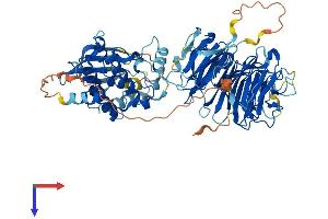 AlphaFold protein structure predicition of Mouse Recombinant Nek8 Protein, UniprotID Q91ZR4