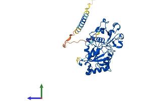 AlphaFold protein structure predicition of Human Recombinant FUT5 Protein, UniprotID Q11128