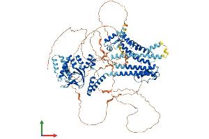 AlphaFold protein structure predicition of Human Recombinant HCN1 Protein, UniprotID O60741