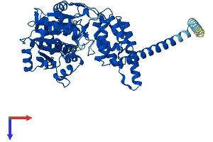 AlphaFold protein structure predicition of Mouse Recombinant Far1 Protein, UniprotID Q922J9