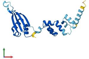 AlphaFold protein structure predicition of Human Recombinant FBXO36 Protein, UniprotID Q8NEA4