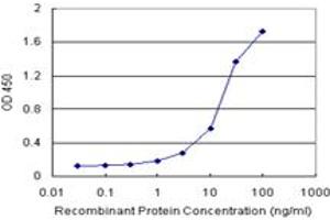 Sandwich ELISA detection sensitivity ranging from 1 ng/mL to 100 ng/mL. (SERPINB2 (Humain) Matched Antibody Pair)