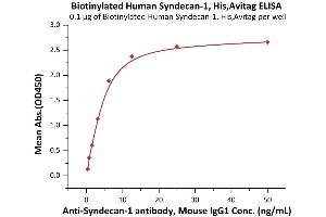 Immobilized Biotinylated Human Syndecan-1, His,Avitag (ABIN6973275) at 1 μg/mL (100 μL/well) on streptavidin  (0.