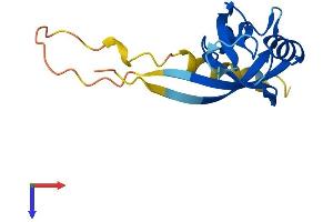 AlphaFold protein structure predicition of Human Recombinant SYNJ2BP Protein, UniprotID P57105