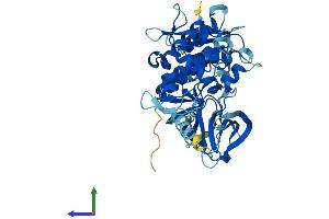 AlphaFold protein structure predicition of Human Recombinant PTK6 Protein, UniprotID Q13882