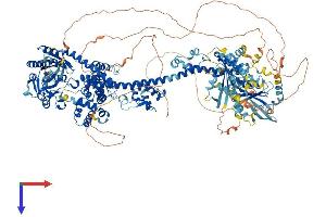 AlphaFold protein structure predicition of Human Recombinant ARHGAP35 Protein, UniprotID Q9NRY4
