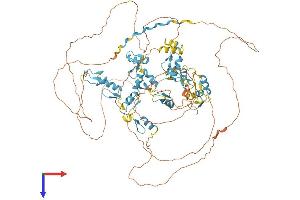 AlphaFold protein structure predicition of Human Recombinant ZNF341 Protein, UniprotID Q9BYN7