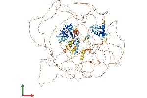 AlphaFold protein structure predicition of Mouse Recombinant Arid5b Protein, UniprotID Q8BM75