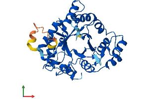 AlphaFold protein structure predicition of Human Recombinant AKR1E2 Protein, UniprotID Q96JD6
