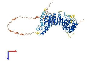AlphaFold protein structure predicition of Mouse Recombinant Fbxl6 Protein, UniprotID Q9QXW0