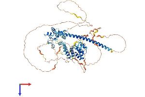 AlphaFold protein structure predicition of Human Recombinant TICAM1 Protein, UniprotID Q8IUC6