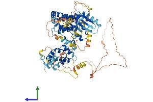 AlphaFold protein structure predicition of Mouse Recombinant Ripk1 Protein, UniprotID Q60855