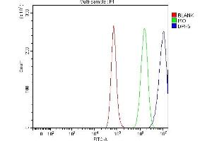 Flow Cytometry analysis of A549 cells using anti-DPH5 antibody (ABIN7599711).
