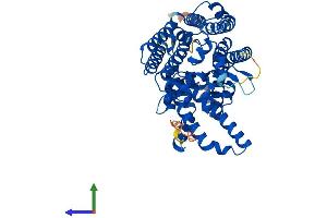 AlphaFold protein structure predicition of Human Recombinant MBOAT1 Protein, UniprotID Q6ZNC8