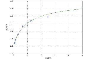 Gastrokine 2 (GKN2) ELISA Kit