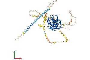 AlphaFold protein structure predicition of Mouse Recombinant Gldn Protein, UniprotID Q8BMF8
