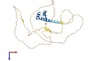 AlphaFold protein structure predicition of Human Recombinant NKX2-1 Protein, UniprotID P43699