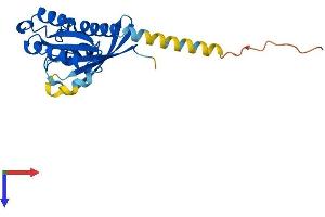 AlphaFold protein structure predicition of Mouse Recombinant Rab15 Protein, UniprotID Q8K386