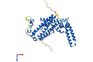 AlphaFold protein structure predicition of Mouse Recombinant Tdo2 Protein, UniprotID P48776