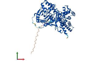 AlphaFold protein structure predicition of Mouse Recombinant Crat Protein, UniprotID P47934