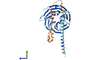AlphaFold protein structure predicition of Human Recombinant POC1A Protein, UniprotID Q8NBT0
