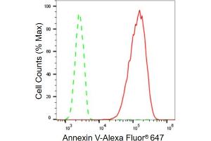 Flow cytometric analysis of Annexin V expression in HT- cells using Annexin V antibody (ABIN7797622), 1:2,000).