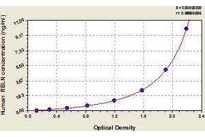 Typical Standard Curve (Reelin Kit ELISA)