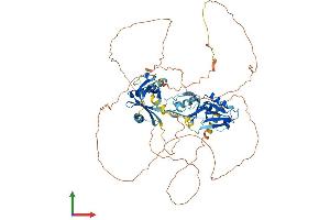 AlphaFold protein structure predicition of Mouse Recombinant Apba2 Protein, UniprotID P98084