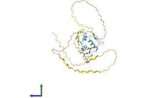 AlphaFold protein structure predicition of Human Recombinant KLF14 Protein, UniprotID Q8TD94