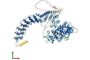 AlphaFold protein structure predicition of Human Recombinant HACE1 Protein, UniprotID Q8IYU2