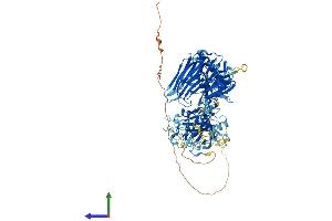 AlphaFold protein structure predicition of Human Recombinant TMPRSS7 Protein, UniprotID Q7RTY8