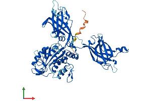 AlphaFold protein structure predicition of Human Recombinant CPNE1 Protein, UniprotID Q99829