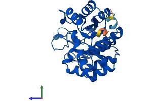 AlphaFold protein structure predicition of Human Recombinant TATDN3 Protein, UniprotID Q17R31