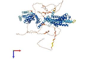 AlphaFold protein structure predicition of Human Recombinant HCN1 Protein, UniprotID O60741